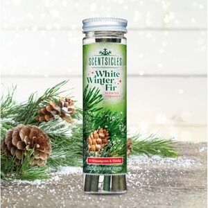 Scentsicles White Winter Fir Scented Christmas Ornaments 6 Count with Hooks